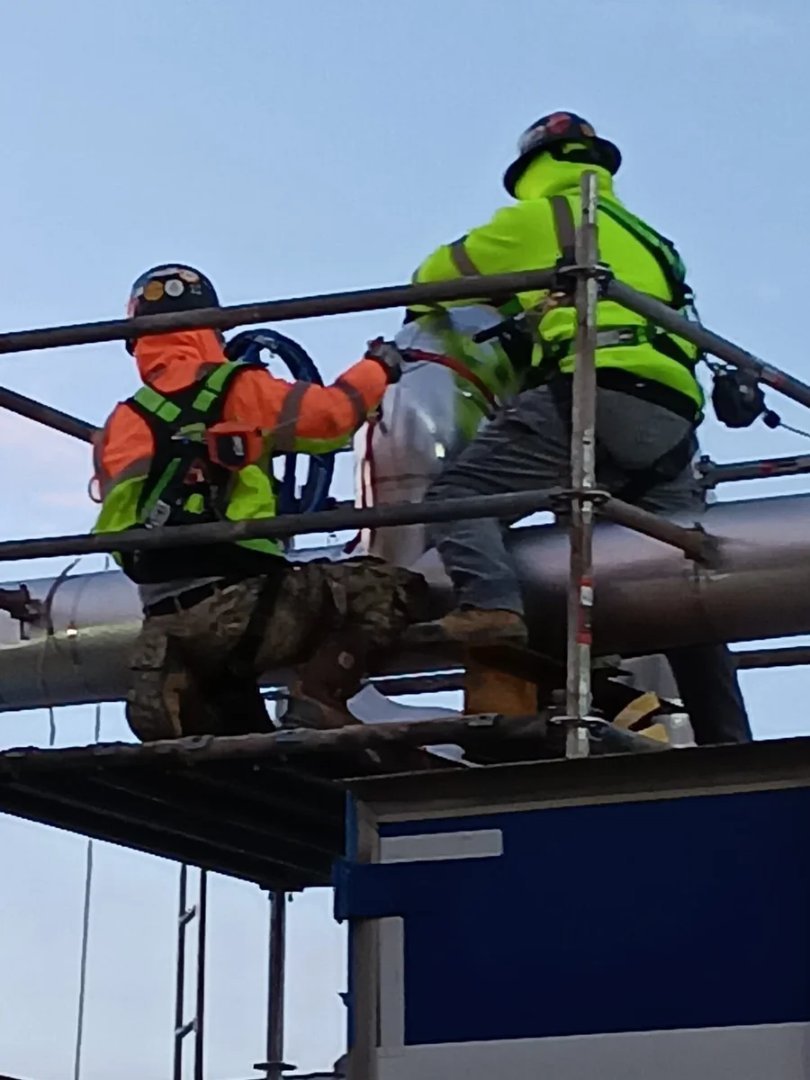 Two harnessed Sabaoth FQ insulators jacketing a pipe from a scaffold at dusk